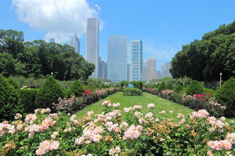 Grant Park In Chicago Chicagos Front Yard Go Guides