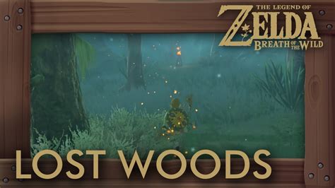 Legend Of Zelda Lost Forest Ludapurple