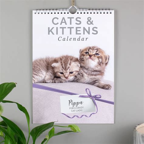 Personalise Cat Lovers Calendar Planner A4 Desktop New Year Christmas