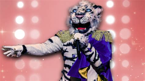 Wie Is De Tijger In The Masked Singer Love Reality