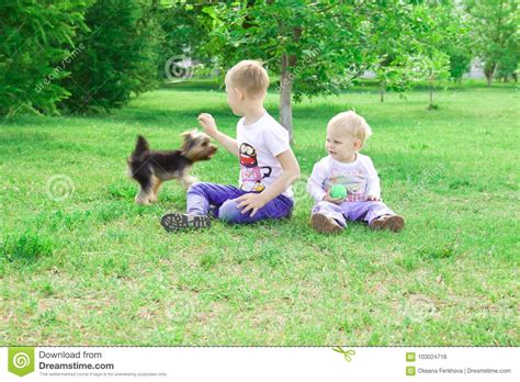 Two Brothers Play With A Dog And Soap Bubbles In The Park