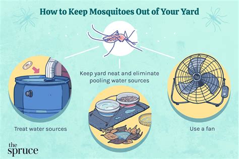 How To Keep Mosquitoes Out Of Your Yard