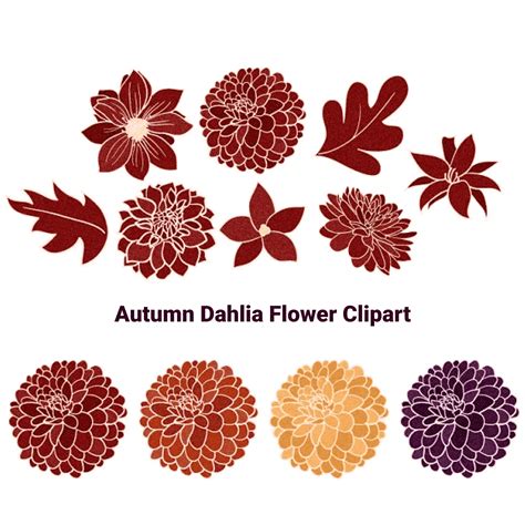 Autumn Dahlia Flower Clipart Masterbundles