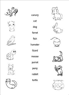 Pets vocabulary for kids learning English | Picture dictionary