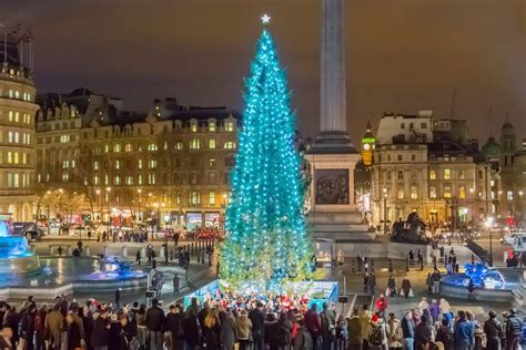 Trafalgar Squares Famous Christmas Tree Is Lighting Up Tonight