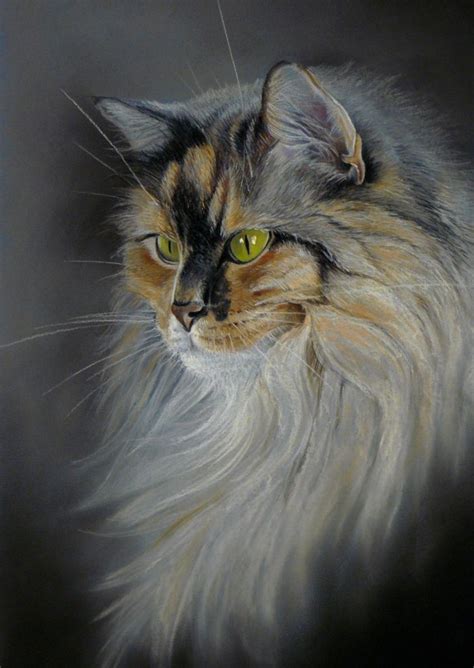 Longhaired Cat 2016 Pastel Drawing By Karine Villard Watercolor Cat