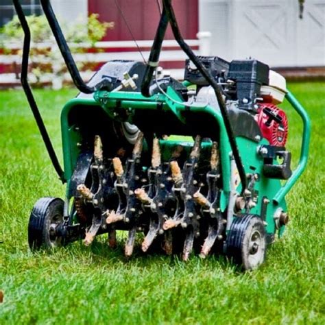 11 Best Lawn Aerators And How To Aerate Your Lawn And Garden Foter