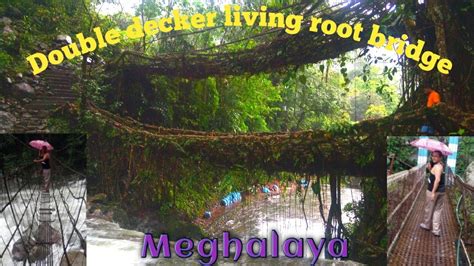 Double Decker Living Root Bridge Cherrapunji Nongriat Village