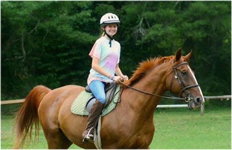 What You Need To Know Before You Take Your First Horse Ride World
