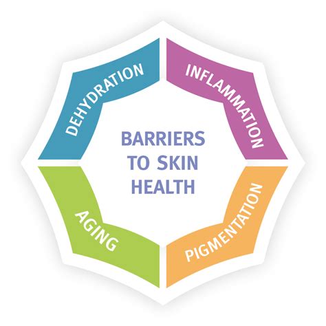 What Are The Four Barriers To Skin Health Dr Leslie Baumann