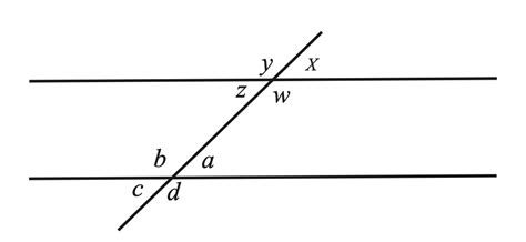 A Pair Of Vertical Angles Formed By 2 Intersecting Lines