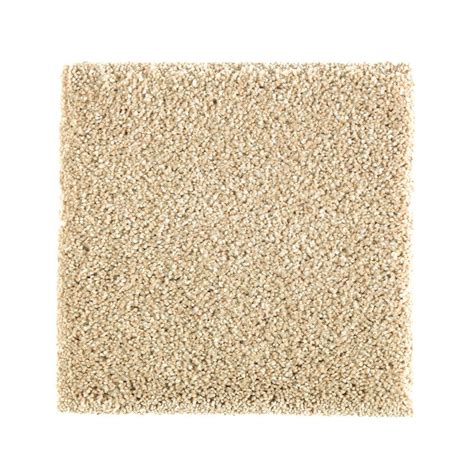 We notified home depot because we purchased the more expensive carpeting and it hadn't even been a year. PetProof Carpet Sample - Whirlwind II - Color First Choice ...
