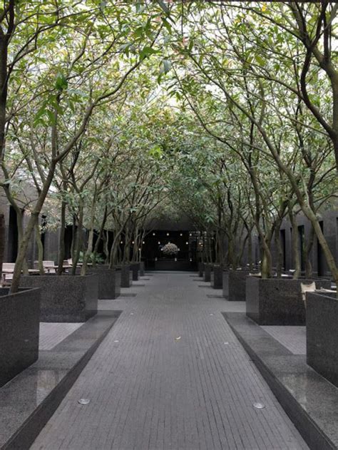 Der garten hat das gleiche aussehen wie das haus selbst, nämlich schlicht, modern und minimalistisch. 80 Ideen, wie ein minimalistischer Garten aussieht