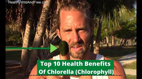 Top 10 Health Benefits Of Chlorella Chlorophyll Youtube