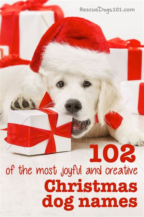 102 Of The Most Joyful And Creative Christmas Dog Names