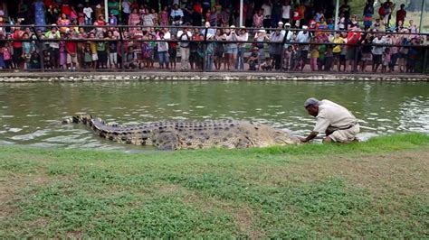 Crocodile Dundee Of Papua New Guinea Youtube