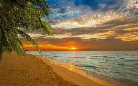 Great Sunsets Beaches Palms Sea Beautiful Views Wallpapers X