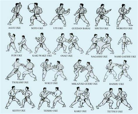 Defesas Shotokan Karate Karate Martial Arts Martial Arts Techniques