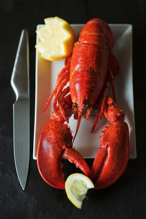 24 Cooked Lobster Up Close Free Stock Photos Stockfreeimages