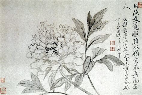 Ancient Chinese Flower Paintings By Yun Shou Ping 惲壽平 Inkston Chinese