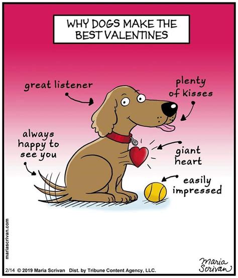 Pin By Kristi Huff On Will You Be My Valentine Valentines Day Dog