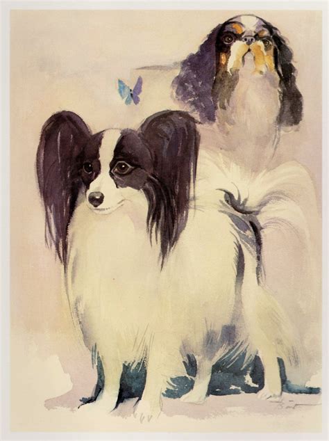 Vintage English Toy Spaniel And Papillon Dog Print Vintage Dog Art