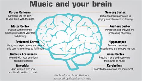 music on brain listening to effect