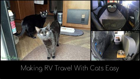 Making Rv Travel With Cats Easy Youtube