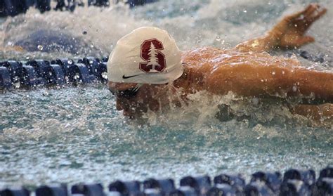 Stanford Men Sign Six To Class Of 2023 Swimming World News