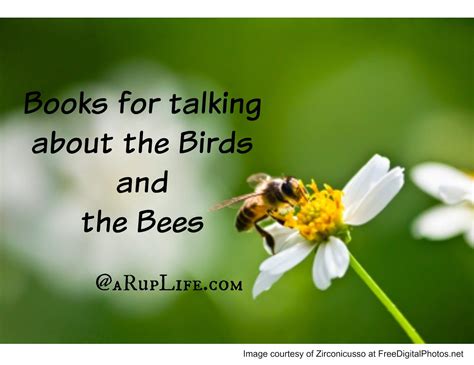 A Rup Life Books For Talking About The Birds And The Bees Birdsandbees