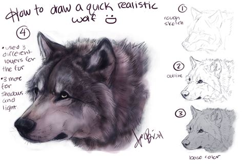 How To Draw Realistic Wolf By Redeyeddemon On Deviantart