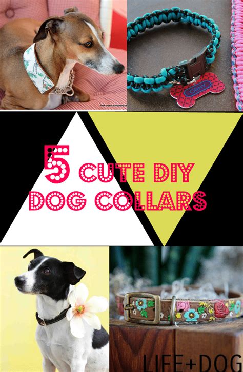 15 Easy Diy Dog Collar Ideas To Make Your Own Dog Collar Vlrengbr