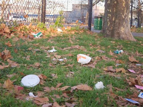 Neighborhood Plagued By Dirty Parks New York City News Service