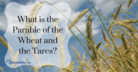 What Is The Parable Of The Wheat And The Tares Gotquestions Org