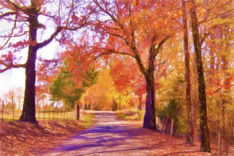 Country Road Fall Landscape Photograph By Barry Jones Fine Art America