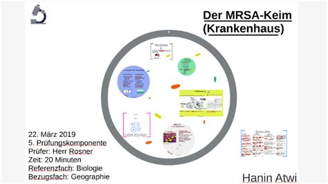 Zudem wird der betroffene von anderen patienten isoliert, weil mrsa über die hände leicht übertragen werden kann. Der MRSA-Keim by Hanin Prezi