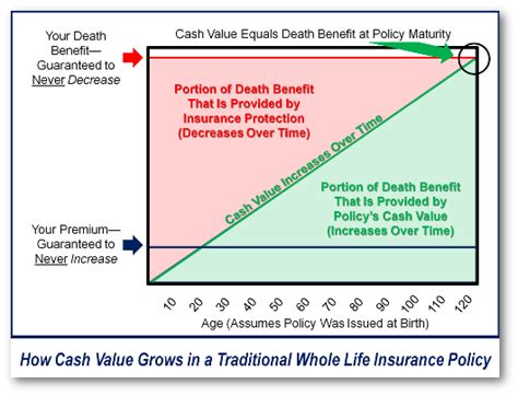 How Whole Life Insurance Works Bank On Yourself