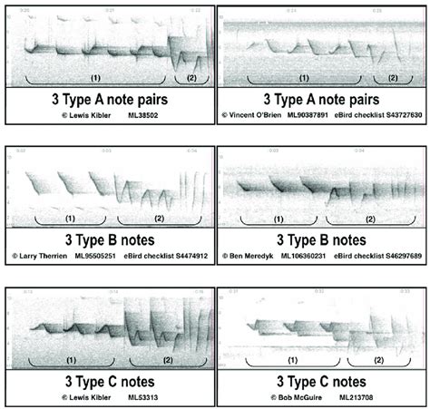 Spectrogram Examples Of The A B And C Note Types Two Examples Of