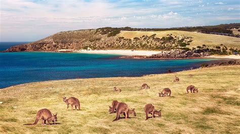 South Australias Stokes Bay On Kangaroo Island Has Been Named