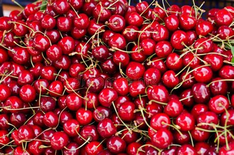 Close Up Of Pile Of Ripe Cherries With Stalks And Leaves Large