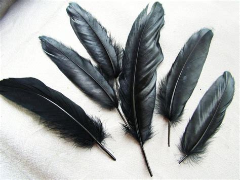 Image result for ravens feather | Feather tattoo colour, Raven feather, Crow feather