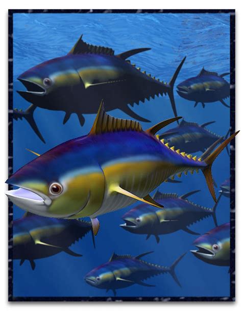 Tuna Fish: Characteristics, properties, habitat and more