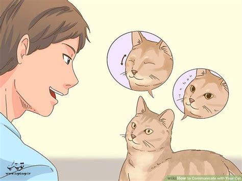 چگونه با گربه خود ارتباط برقرار کنیم تــــــــوپ تـــــــــاپ