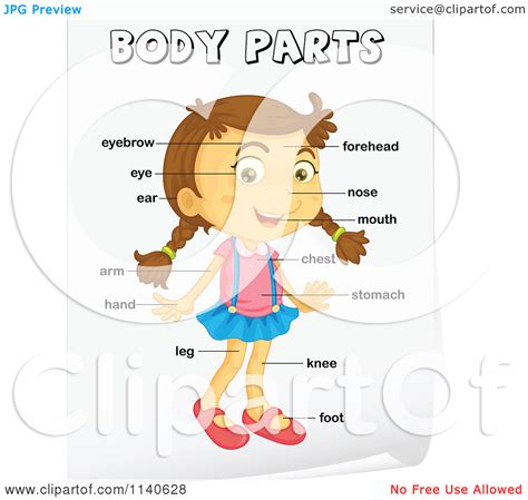 Bodies Clipart 20 Free Cliparts Download Images On Clipground 2023