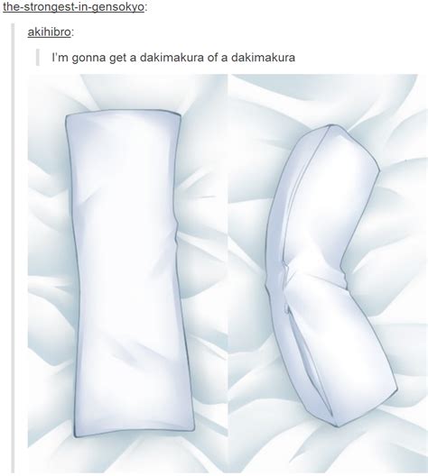 [image 776034] Dakimakura Body Pillow Know Your Meme
