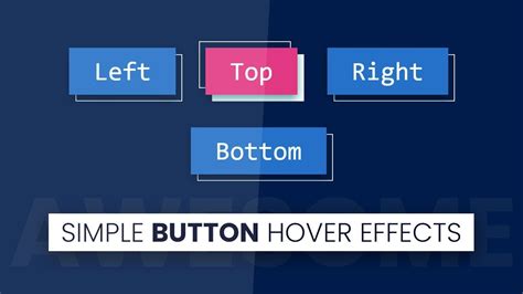 Simple Button Hover Effects Html CSS