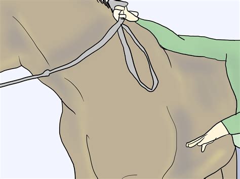 ways  bridle  horse wikihow