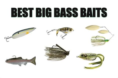 11 Bold Lures To Catch Giant Bass Tilt Fishing
