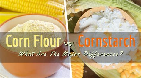 It is important to know that bran constitutes what is called corn gluten. Corn Flour Vs Cornstarch: What Are The Major Differences ...