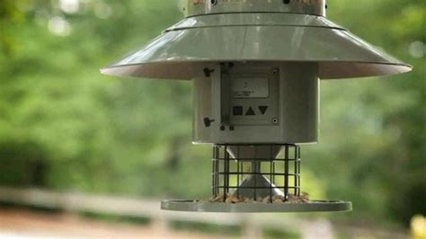 Wingscapes Autofeeder Automatic Bird Feeder With Bonus 4 Bird Guides